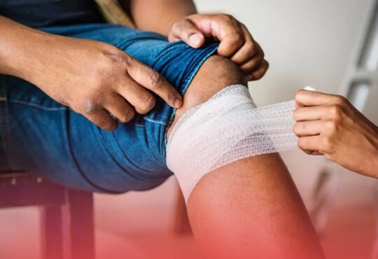When a Dog Bite Turns Serious: Legal Steps to Take