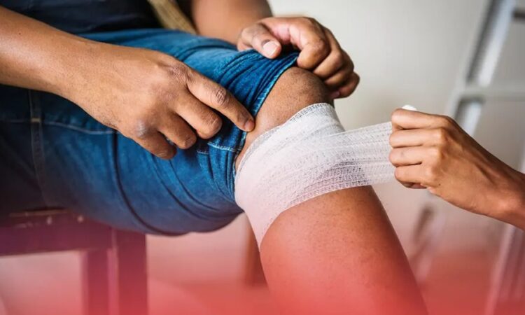 When a Dog Bite Turns Serious: Legal Steps to Take